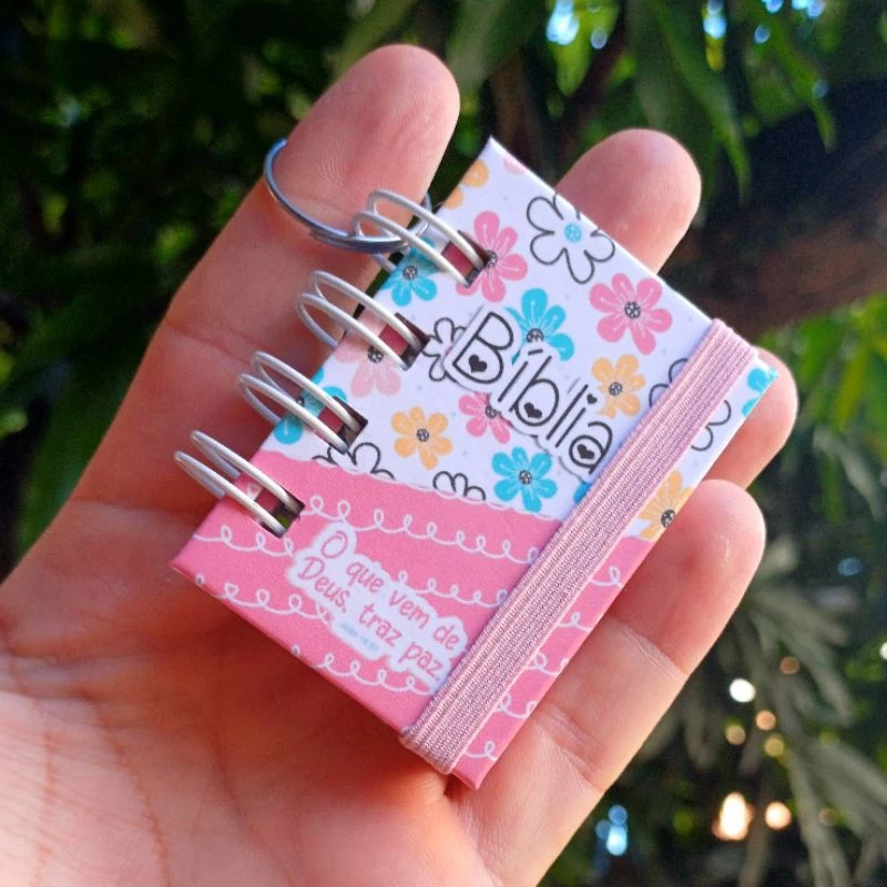 Mini Biblia