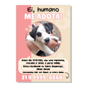 Template de Adoção