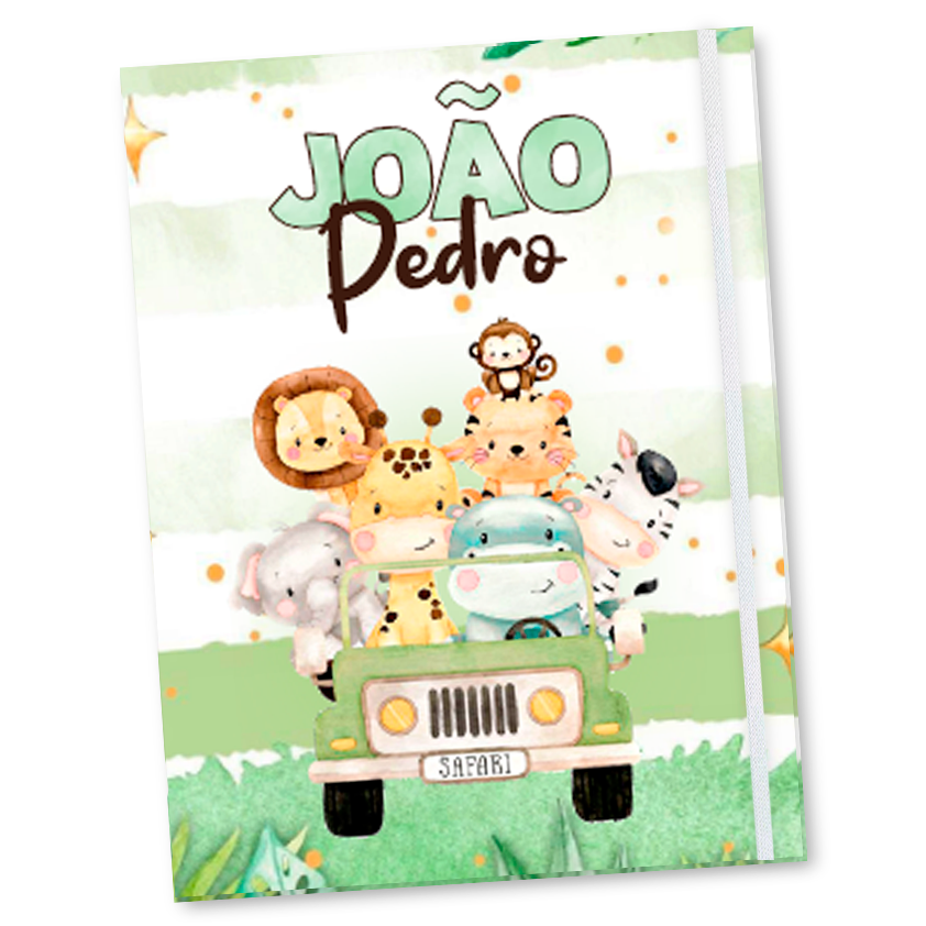 Pasta documentos Safari